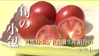 旬の小包～真那井トマト農園生産組合のトマト
