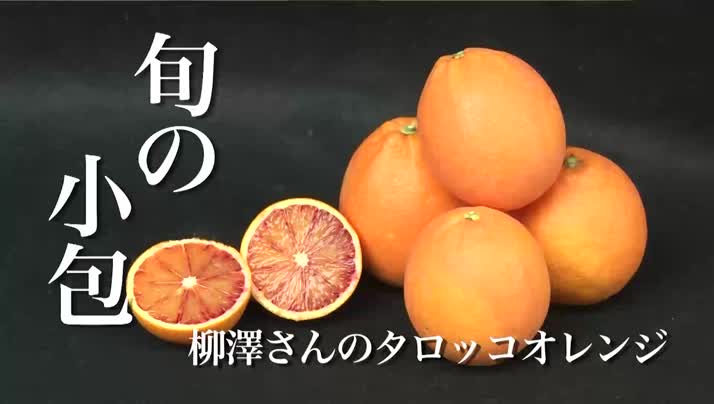 旬の小包 柳澤さんのタロッコオレンジ 日出町