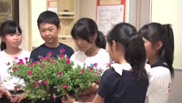 小学校に花を寄贈
