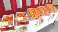 日出町柑橘協会が発足５０周年