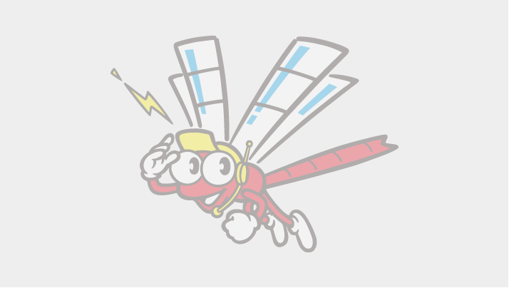 日出でさつき展