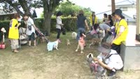 愛犬の自慢大会