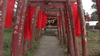 遠見稲荷神社の初午大祭