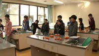 身近な食べ物で科学実験