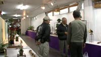 秋の山野草・盆栽展