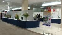 諸流いけばな展