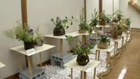 いけ花篭展