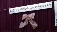 ピンクリボンバレーボールフェスタ