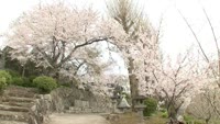 横津神社で春季大祭