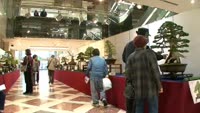 盆栽銘品展