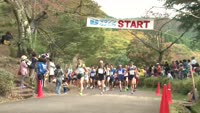 湯けむり健康マラソン・ウォーク大会
