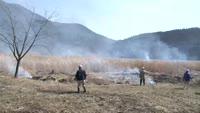 猪の瀬戸湿原で野焼き