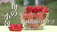 旬の小包～岩城農園のイチゴ