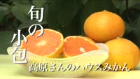 旬の小包～高原さんのハウスみかん