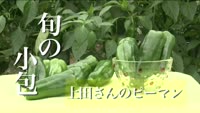 旬の小包～上田さんのピーマン
