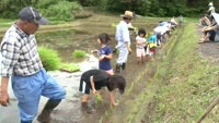 大神片原津で田植え体験