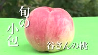 旬の小包～谷さんの桃