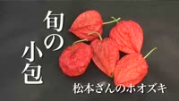 旬の小包～松本さんのホオズキ