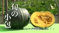 旬の小包～佐々木農園のカボチャ