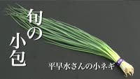 旬の小包～平早水さんの小ねぎ