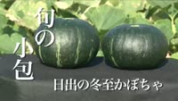 旬の小包～日出の冬至かぼちゃ