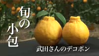 旬の小包～武田さんのデコポン