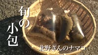 旬の小包～北野さんのナマコ