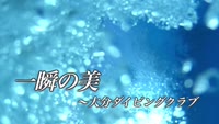 一瞬の美～大分ダイビングクラブ