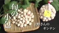 旬の小包～上野さんのギンナン