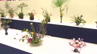 諸流いけばな展