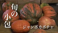 旬の小包～ジャンボカボチャ