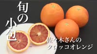 旬の小包～佐々木さんのタロッコオレンジ