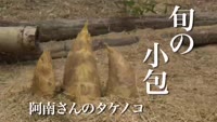 旬の小包～阿南さんのタケノコ