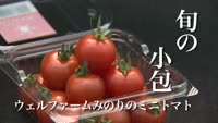 旬の小包～ウェルファームみのりの ミニトマト