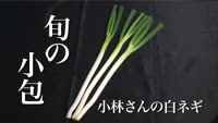 旬の小包～小林さんの白ネギ