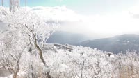 冬の鶴見岳の風景