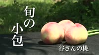 旬の小包～谷さんの桃