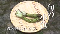 旬の小包～わさび