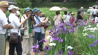 神楽女湖花しょうぶ観賞会