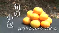 旬の小包～高原さんのハウスみかん