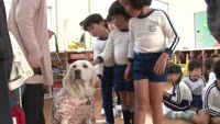 盲導犬を知ろう