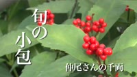旬の小包～仲尾さんの千両