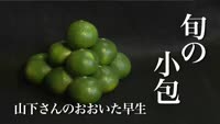 旬の小包～山下さんのおおいた早生(日出町藤原井ノ辻)