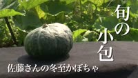 旬の小包～佐藤さんのかぼちゃ