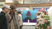 第４１回さつき花季展示会