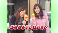 あの町この町ころころミッション！～その９４（平田町）３回目