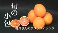 旬の小包～柳澤さんのタロッコオレンジ