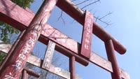 遠見稲荷神社の初午大祭