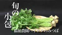 旬の小包～福祉農園ハイテクのみつば