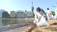 海岸海浜清掃奉仕活動